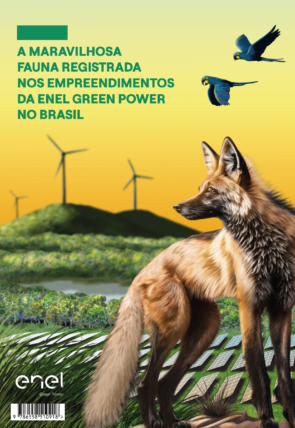 A maravilhosa fauna registrada nos empreendimentos da Enel Green Power no Brasil_Página_001