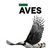 A maravilhosa fauna registrada nos empreendimentos da Enel Green Power no Brasil_Página_015 A maravilhosa fauna registrada nos empreendimentos da Enel Green Power no Brasil . Raoni Rebouças e Henrique Matheus Farias